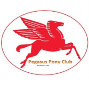 Metro Zone - Pegasus Pony Club Metro Zone - Pegasus Pony Club