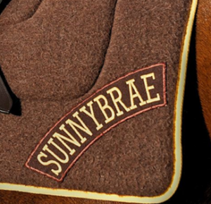 Metro Zone - Sunnybrae Pony Club Metro Zone - Sunnybrae Pony Club