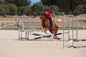 Globe Derby Pony Club - 02MAY21 - Sunnybrae PC Show Jumping Day 8
